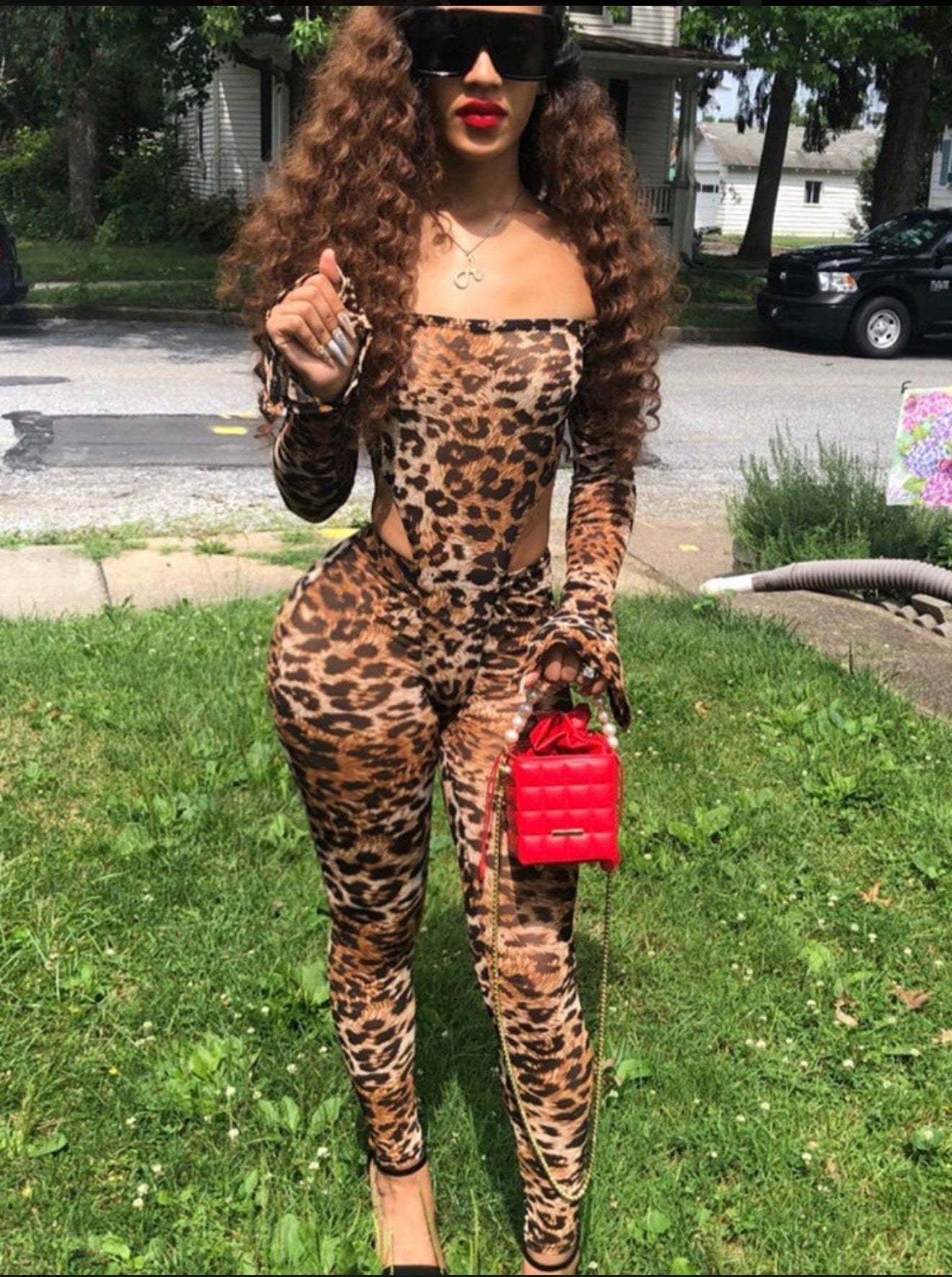 Cheetah girl