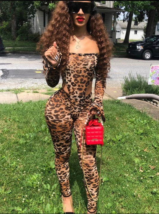 Cheetah girl